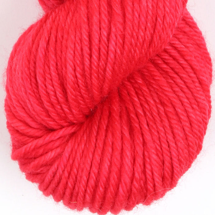 Ashford Rainbow Wool Dye Kit