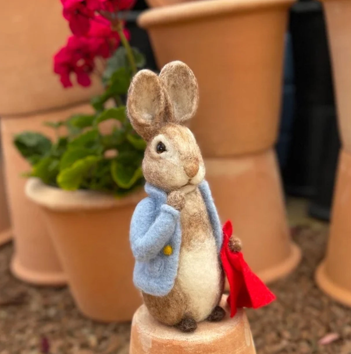 Peter Rabbit & His Pocket Handkerchief Needle Felting Kit — Tisse et File
