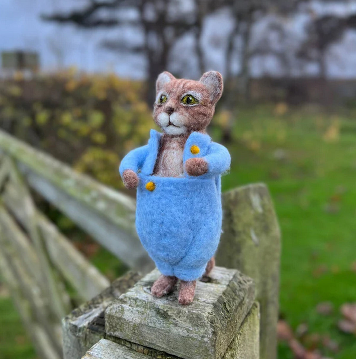 Tom-Kitten-Tisse-et-File-