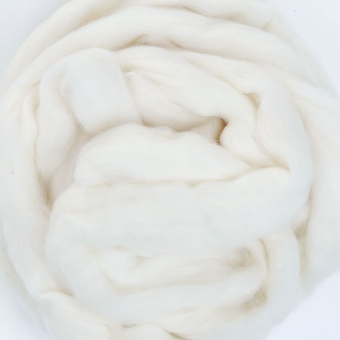 Natural white Polwarth wool roving — soft spinning fiber close-up